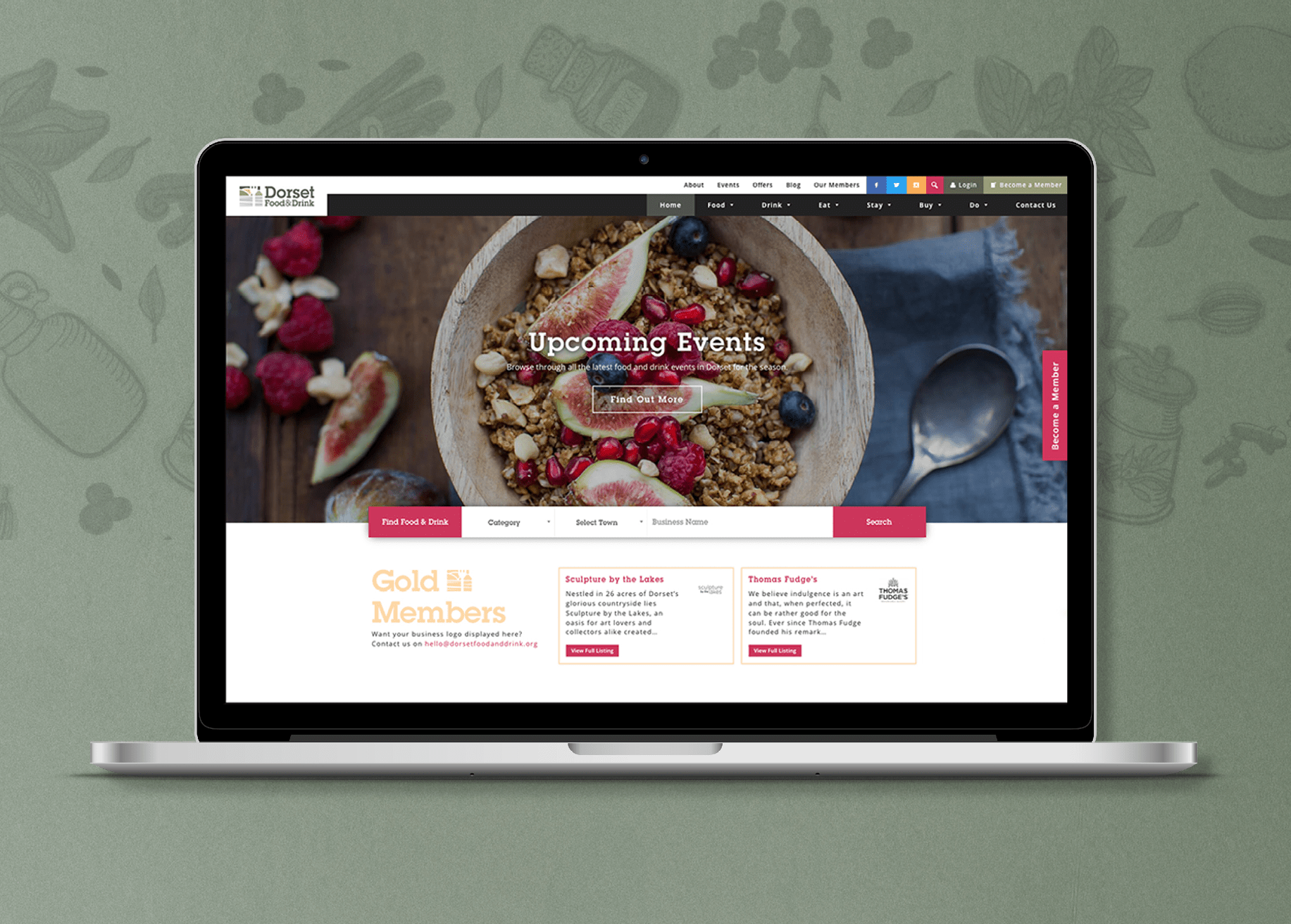 WEB case studies 15
