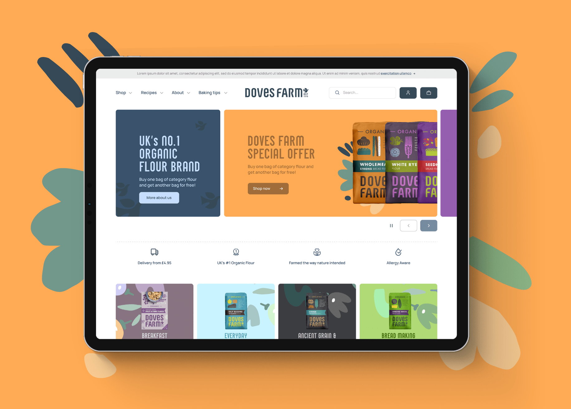 WEB case studies 8