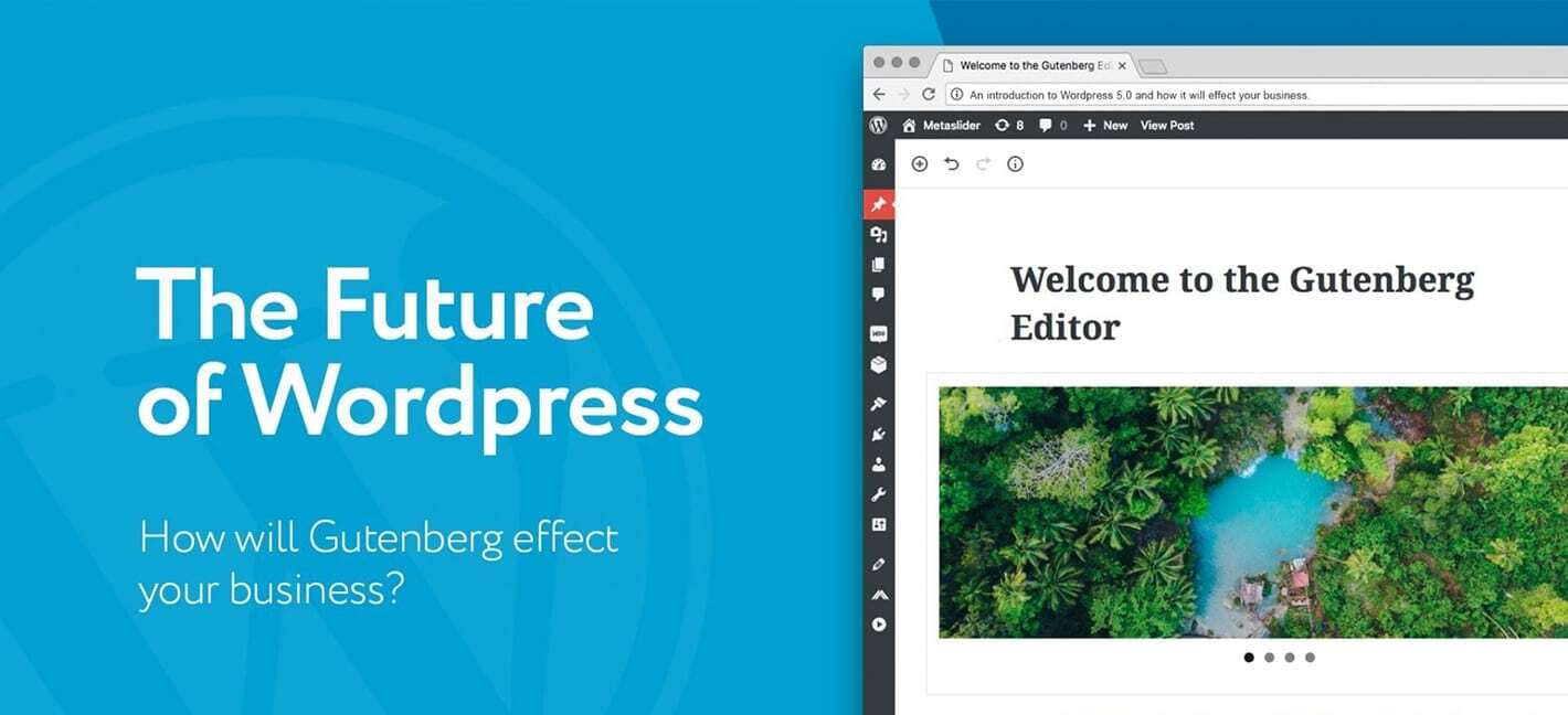 Screenshot of the new WordPress Gutenberg editor
