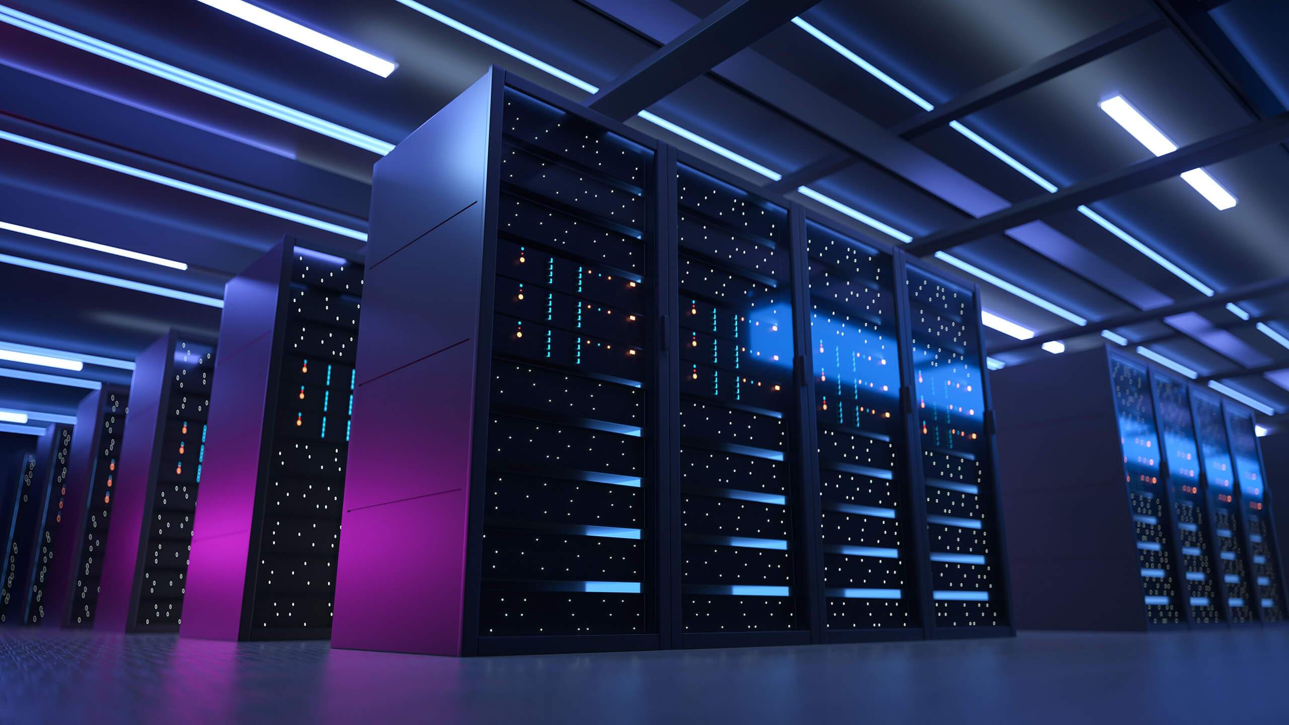 digital storm wordpress website hosting