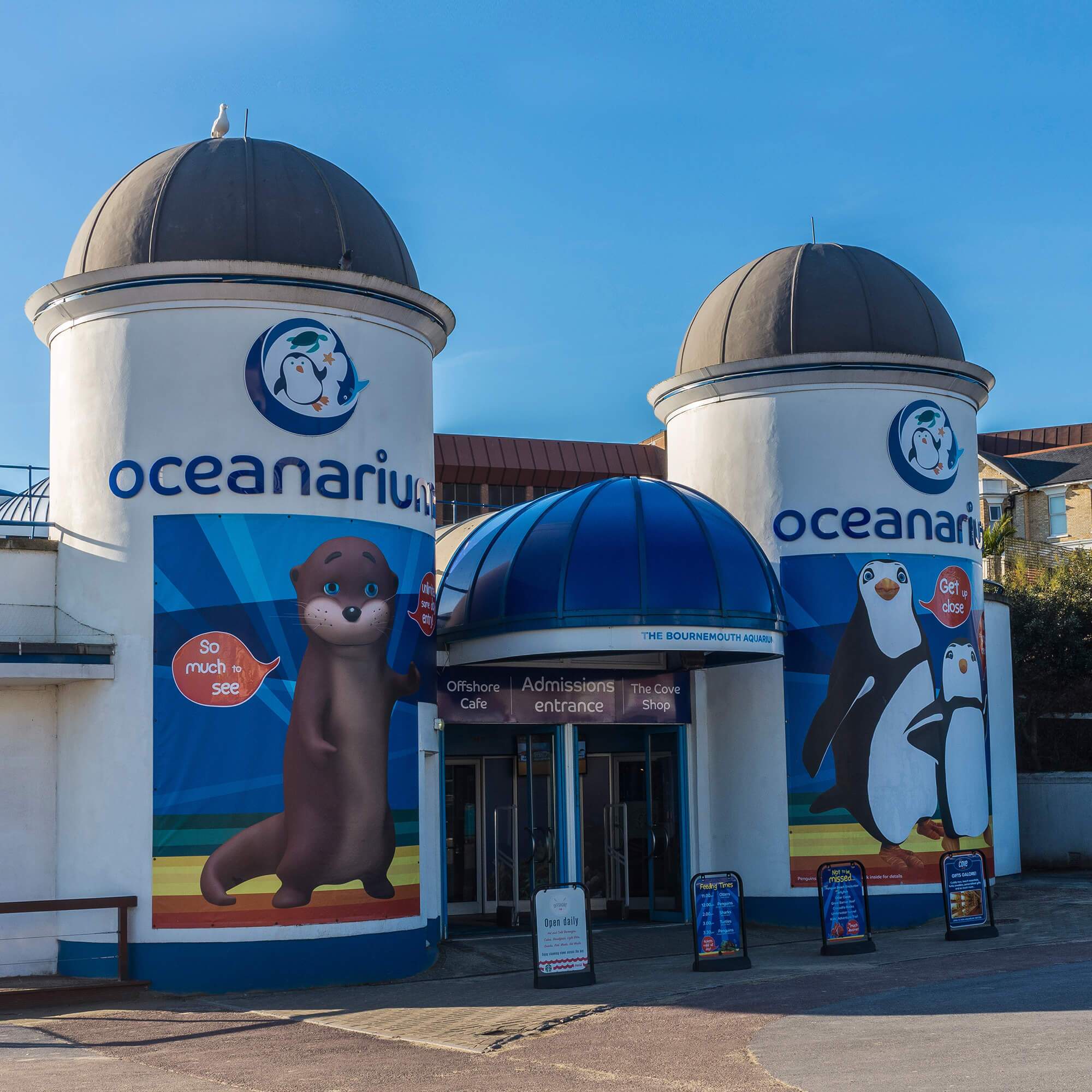 oceanarium photo