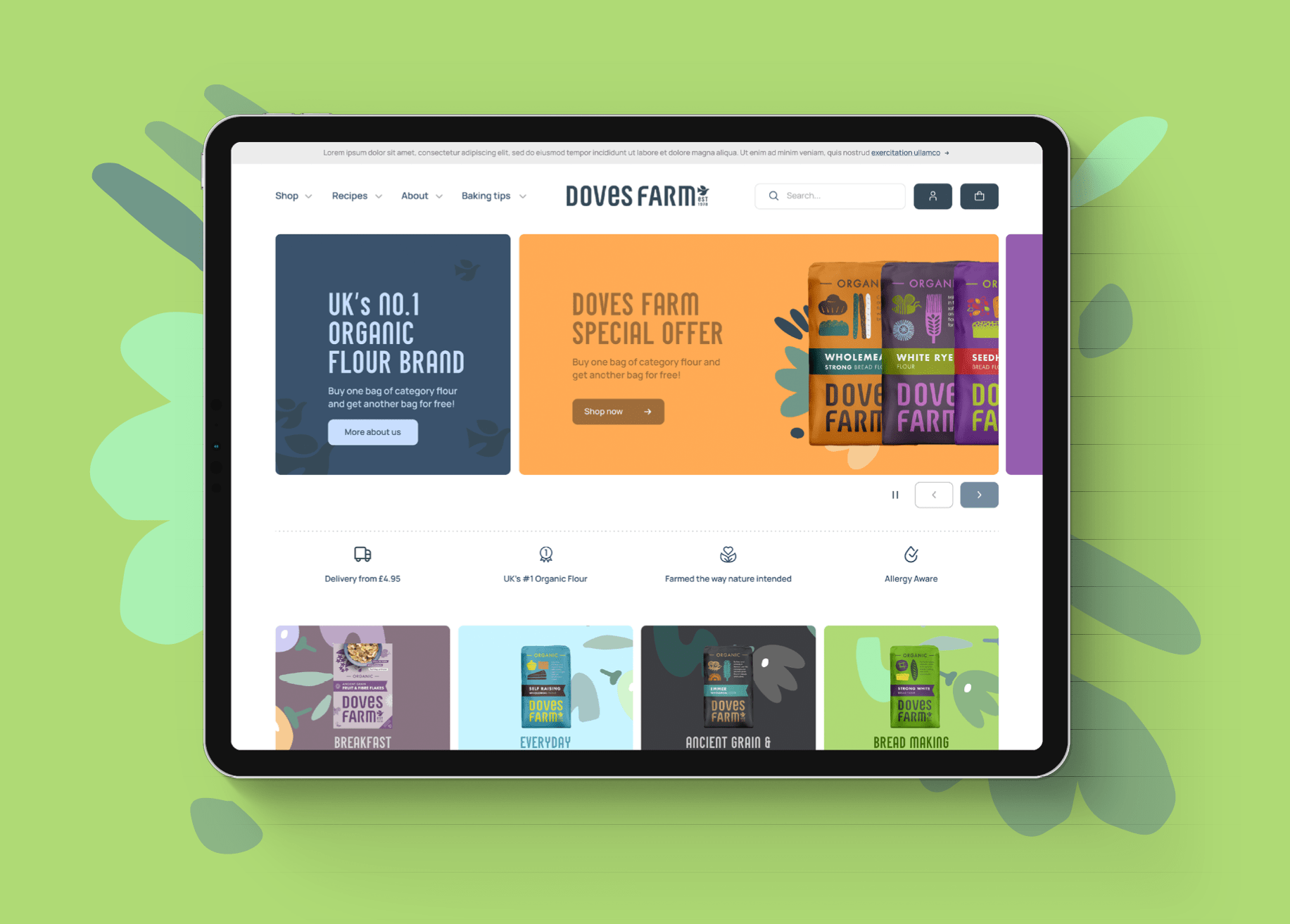 WEB case studies 6
