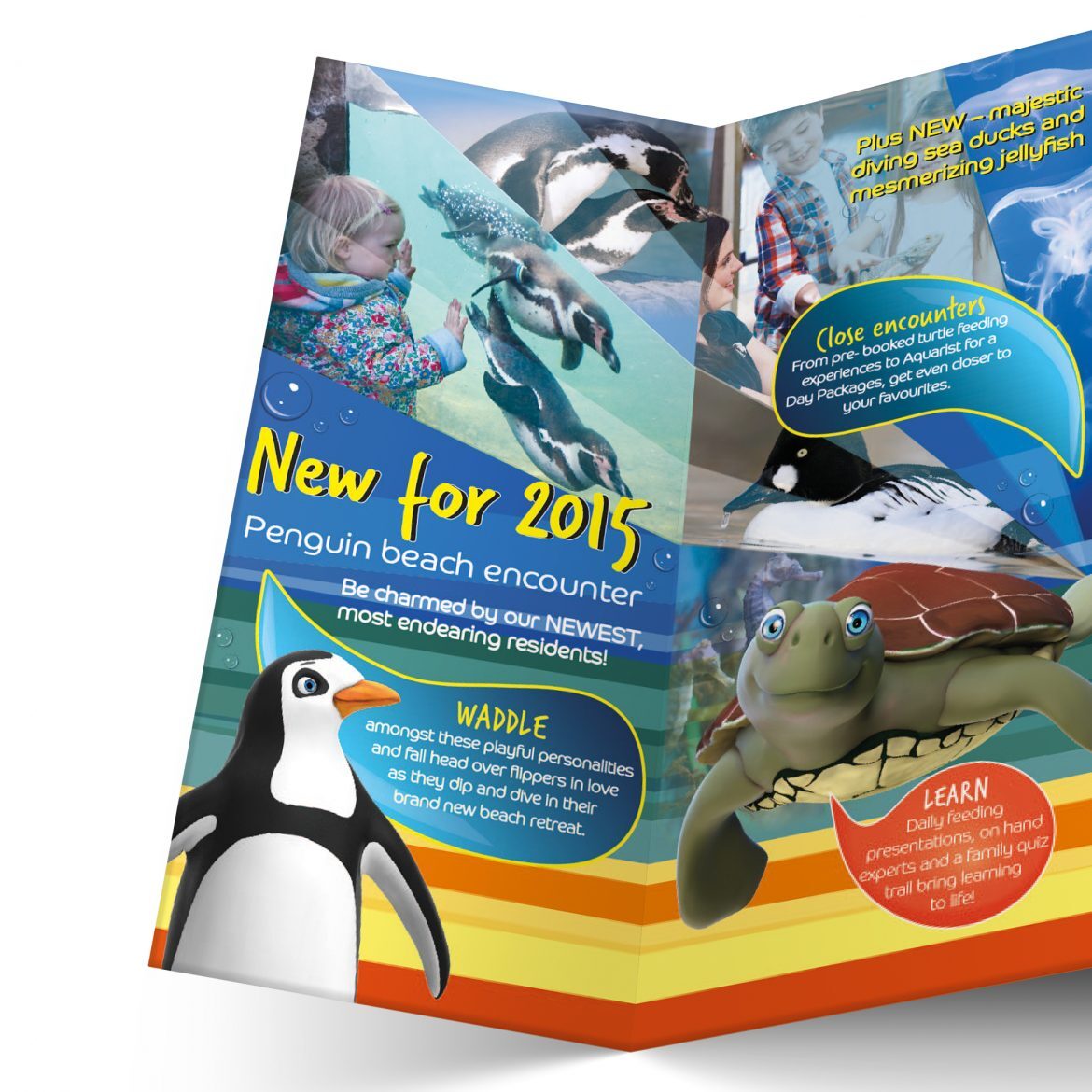 oceanarium leaflet design
