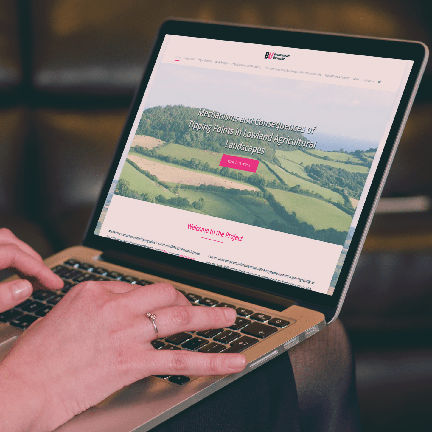 Person looking at TPAL Bournemouth University on an laptop