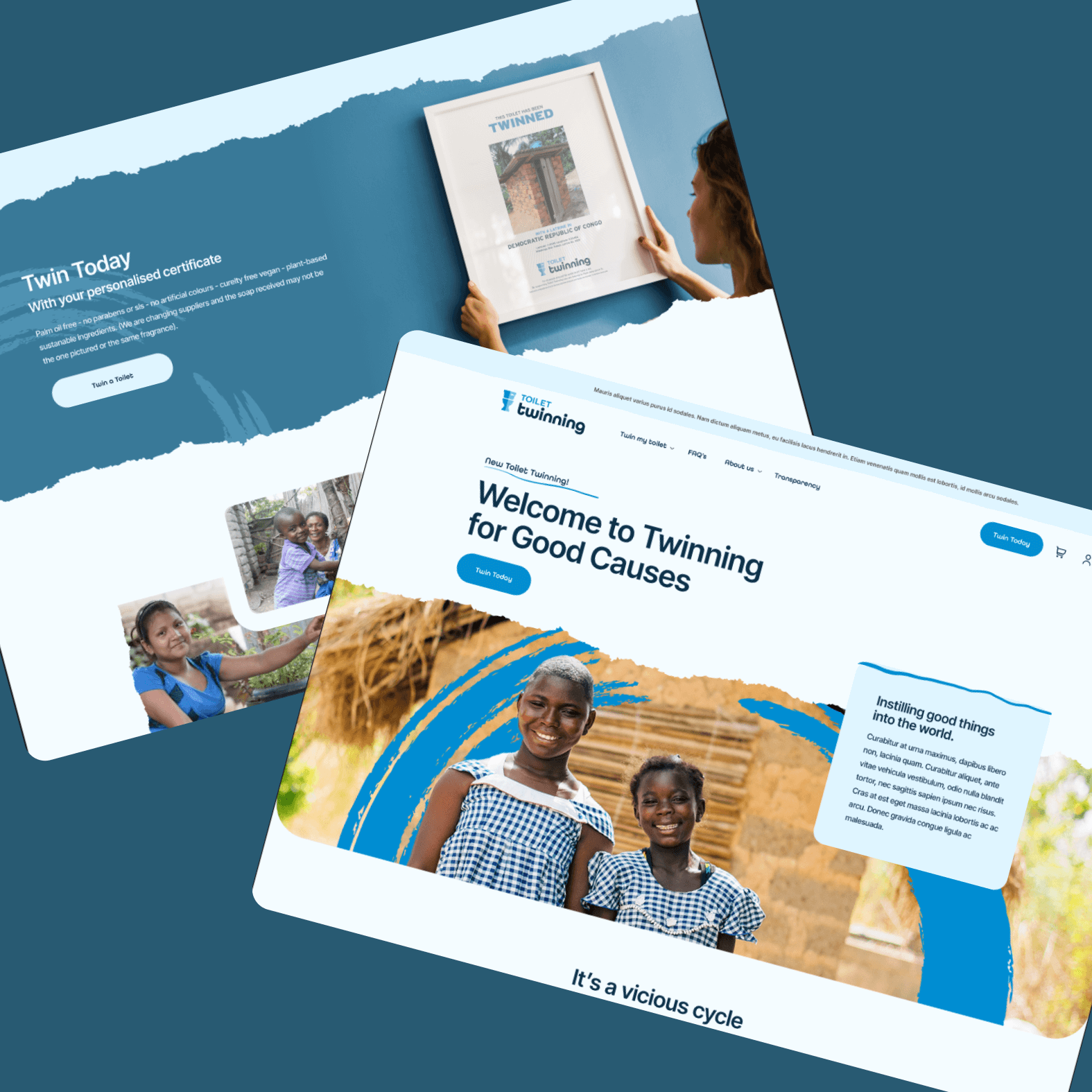 Toilet Twinning Web Design and Web Development