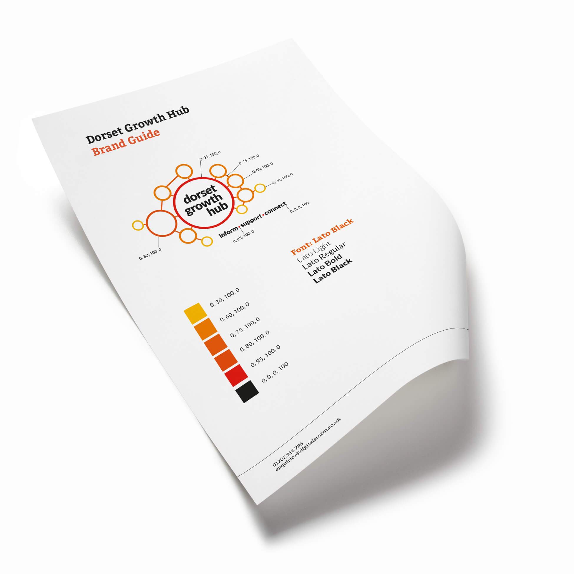 Dorset Growth Hub logo guide Digital Storm