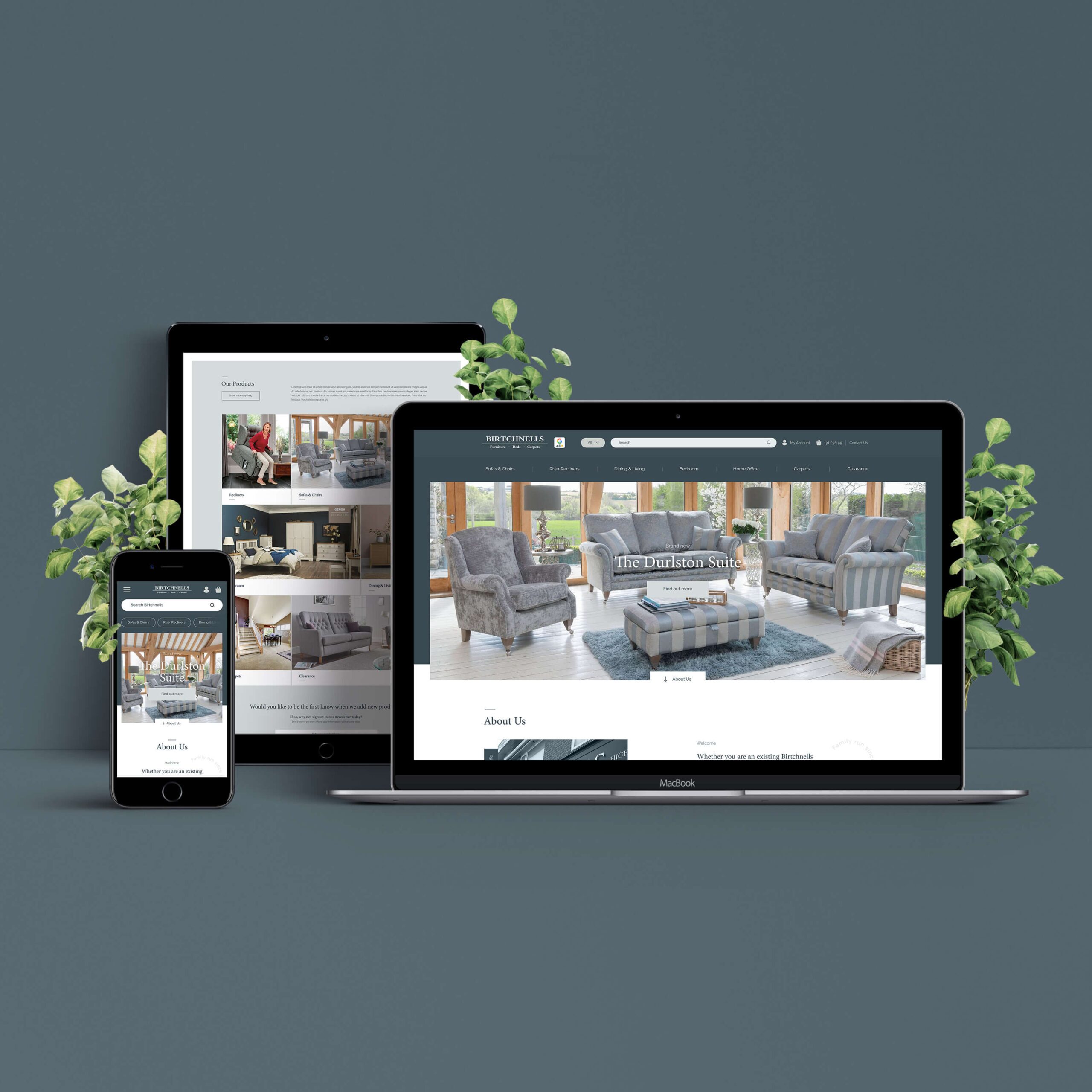 birchnells web design scaled